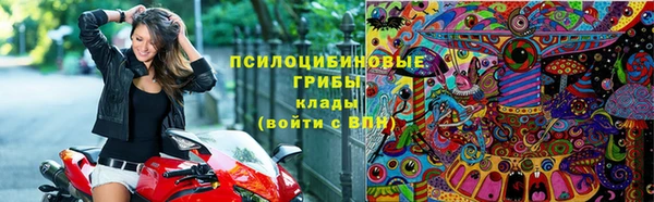 гашик Алексеевка