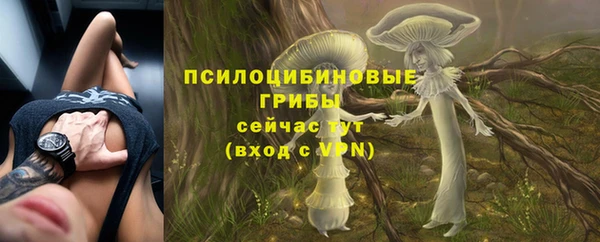 мяу мяу мука Алзамай