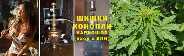 мяу мяу мука Алзамай