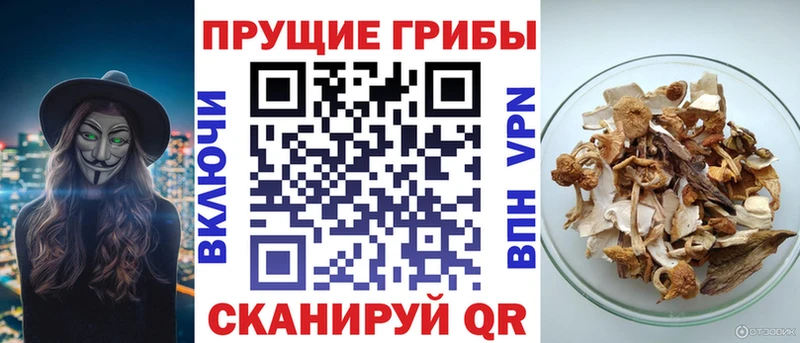 нарко площадка клад  где купить наркоту  Усолье-Сибирское  Псилоцибиновые грибы прущие грибы 